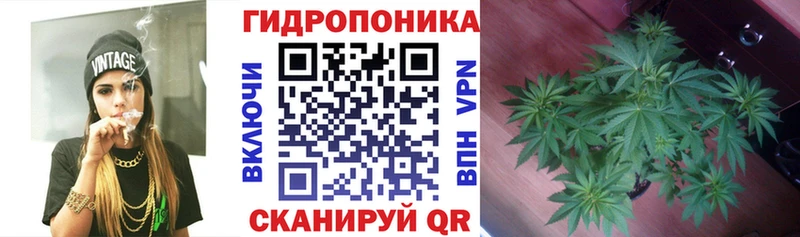 магазин продажи наркотиков  Поронайск  МАРИХУАНА марихуана 